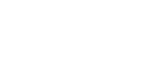 Vertical Insure Logo